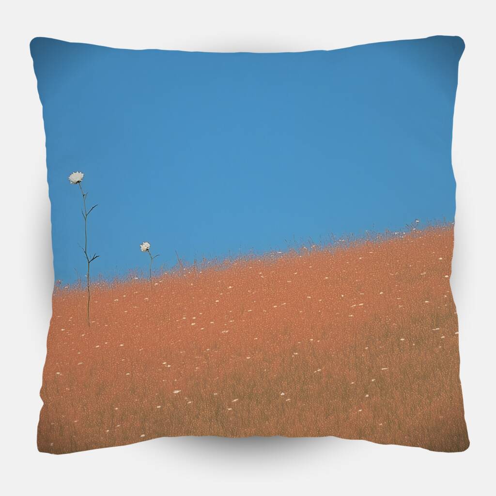 Bekijk Man in a Field (Sierkussen)